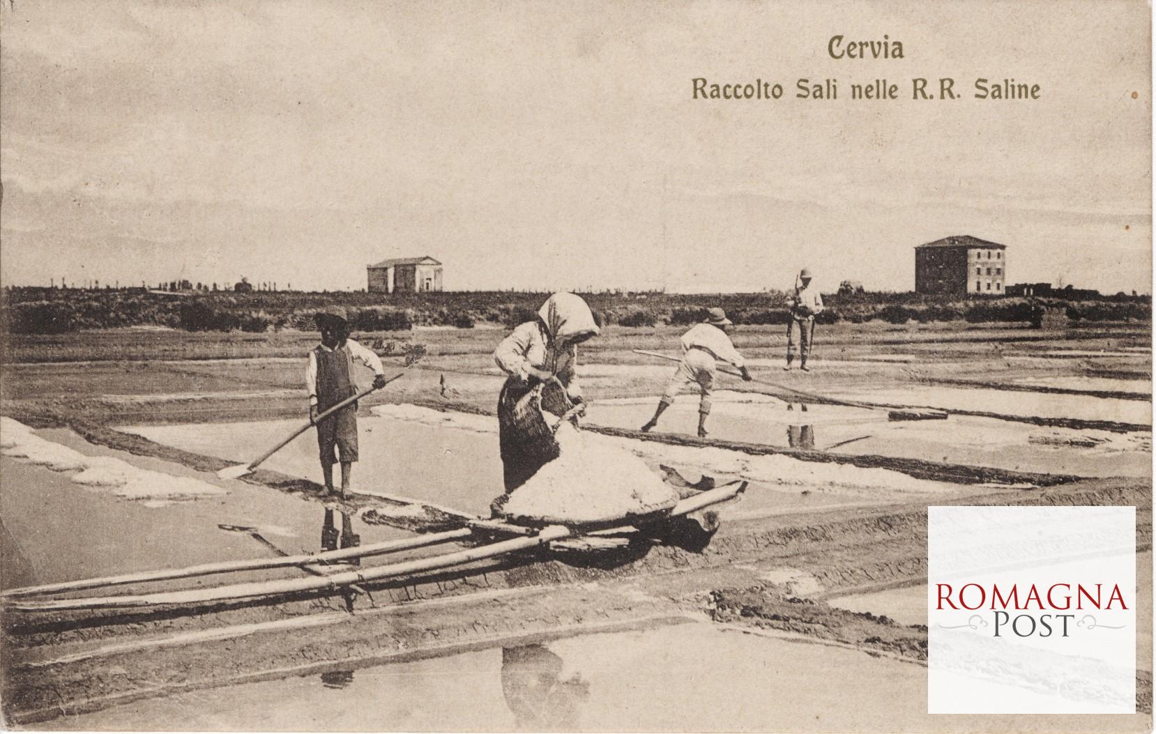 1. 1908.Cervia. Raccolta sali nelle R.R. saline_
