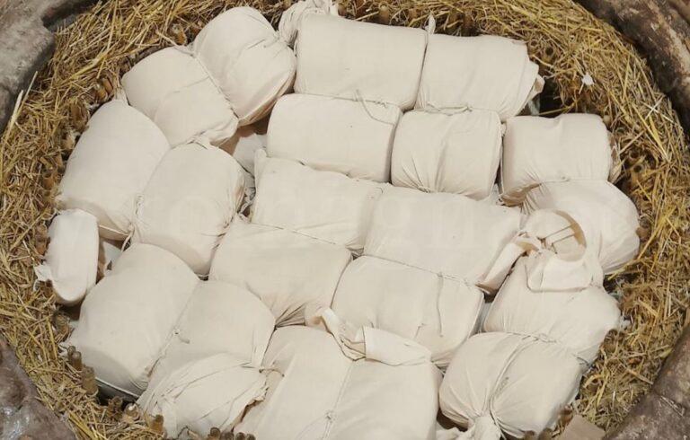 Immagine coordinata della mostra