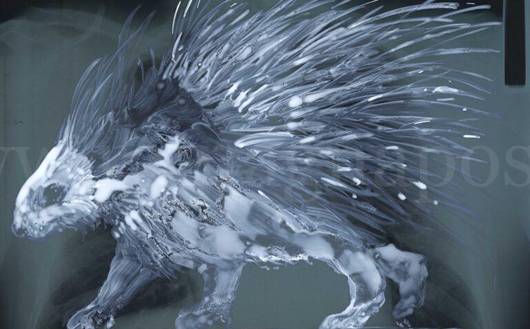 Massimo Pulini - Asanisimasa istrice, 2020, olio su radiografia, cm 35x43