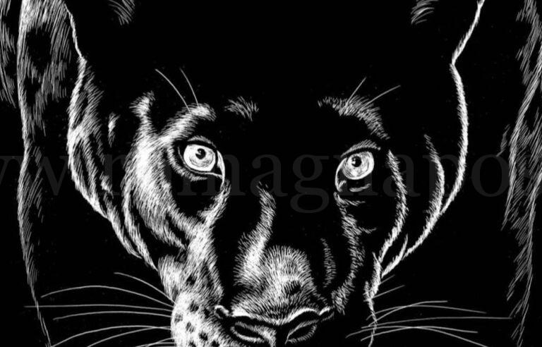 illustrazione Lombardi