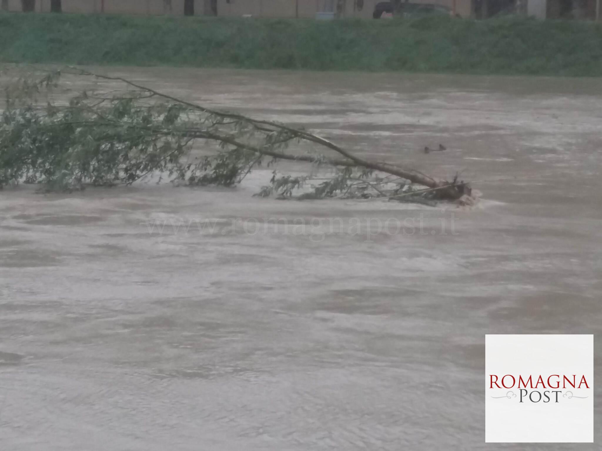 Alluvione 5