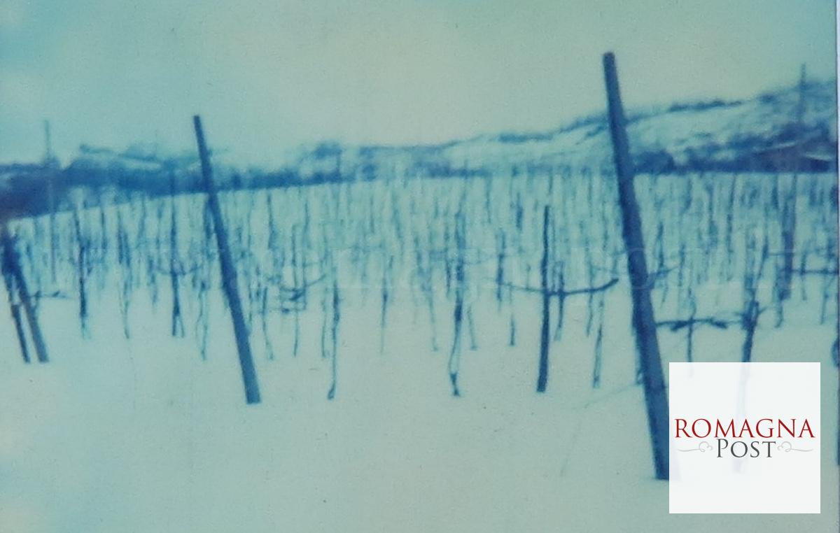 immagine coordinata della mostra Copyright CASA SARTELLI