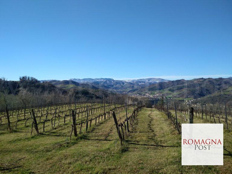 tenuta casali