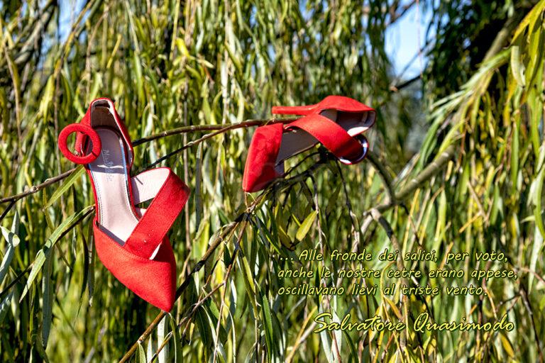 DERVIS CASTELLUCCI ALLE FRONDE DEI SALICI