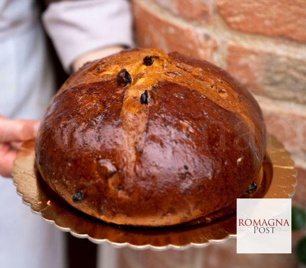 pagnotta pasquale
