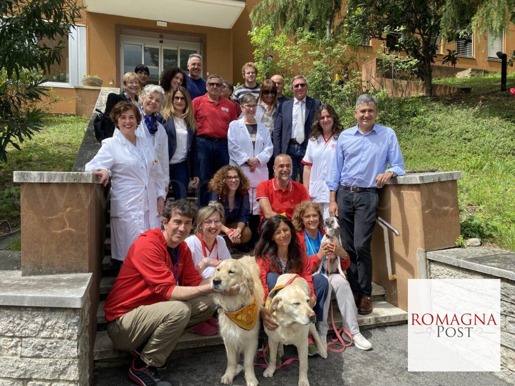 Cani in ospedale