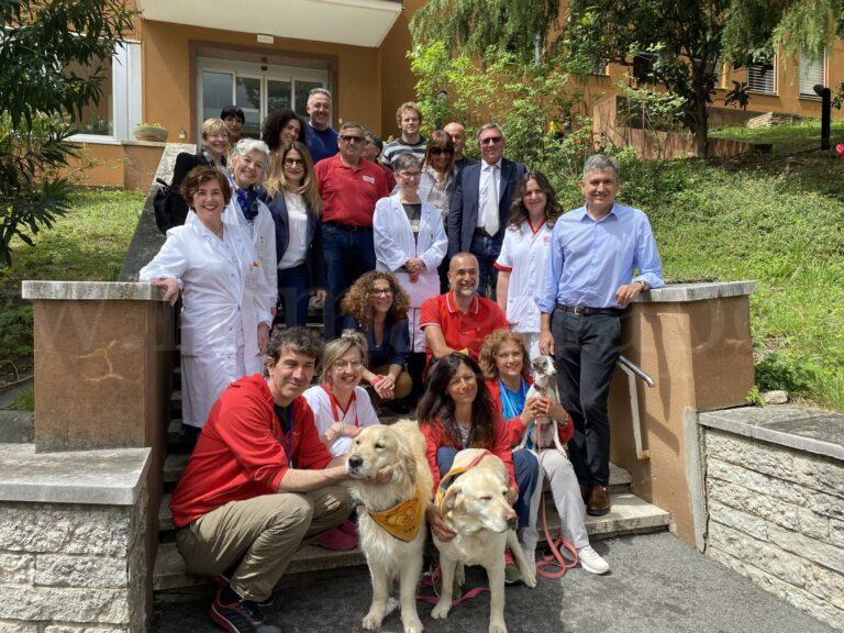 Cani in ospedale