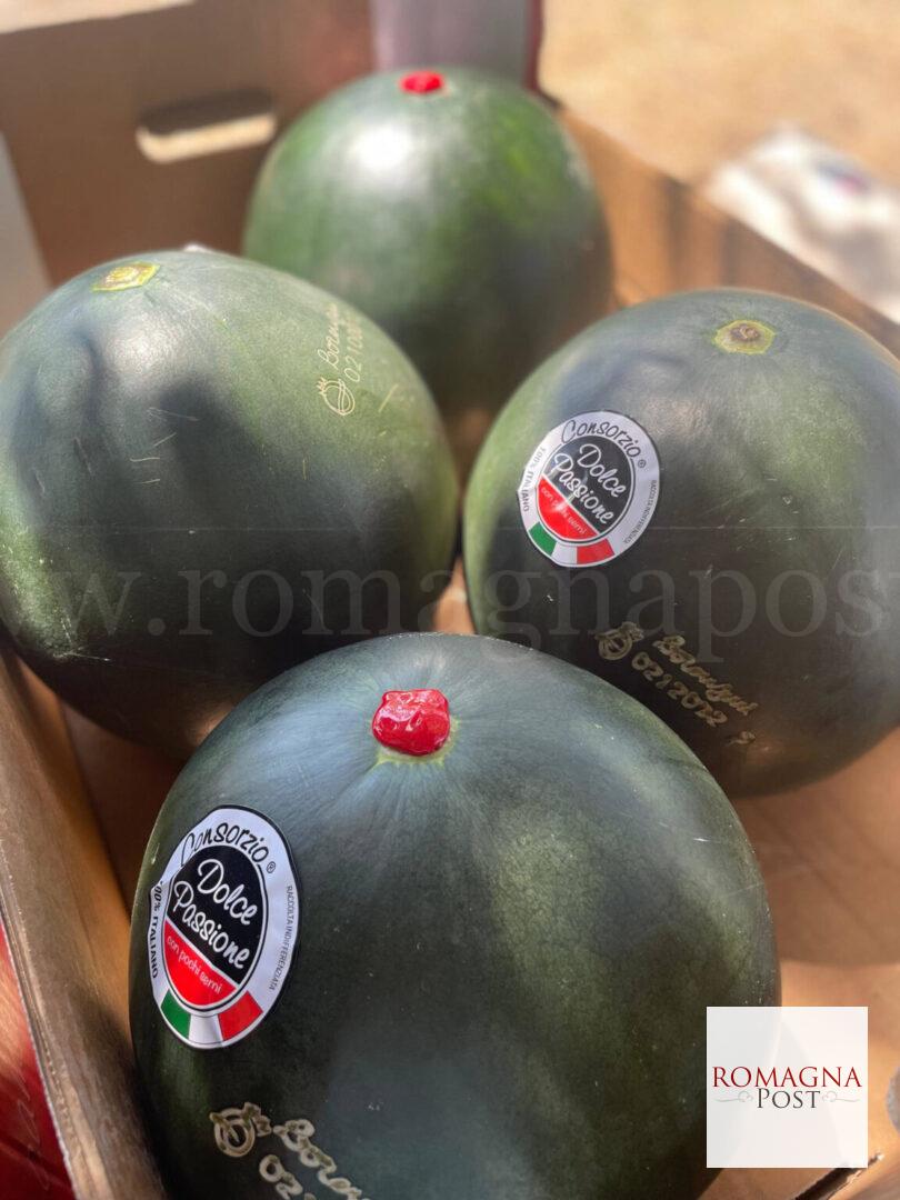 Cocomero Dolce Passione