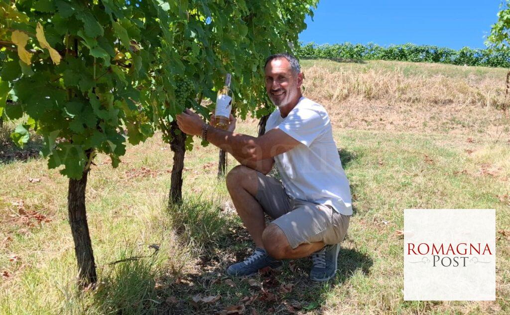 Mauro Altini con Punto a capo nella vigna di Trebbiano