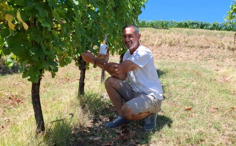 Mauro Altini con Punto a capo nella vigna di Trebbiano