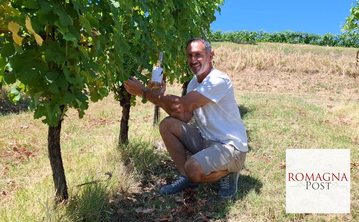 Mauro Altini con Punto a capo nella vigna di Trebbiano