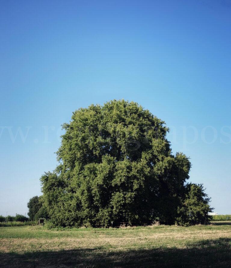 1000003066