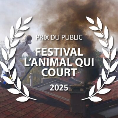 Premio-del-Pubblico-a-Le-Aspirazioni-di-Arianna
