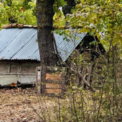 Casa nel bosco: Ministero, rispettato l'obbligo scolastico