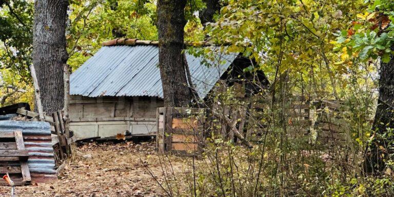 Casa nel bosco: Ministero, rispettato l'obbligo scolastico