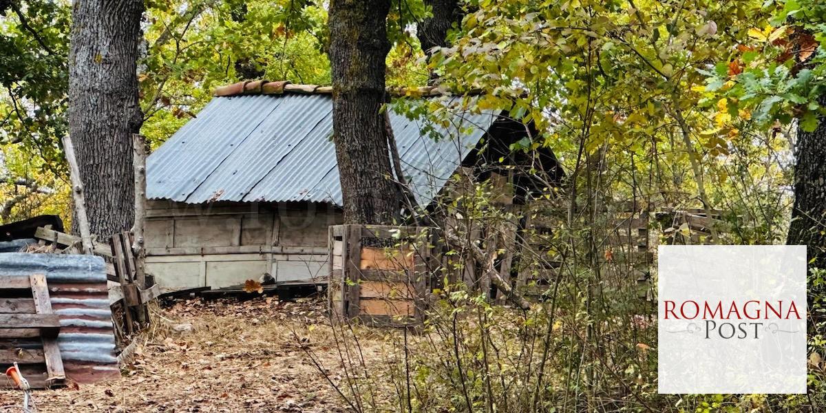 Casa nel bosco: Ministero, rispettato l'obbligo scolastico