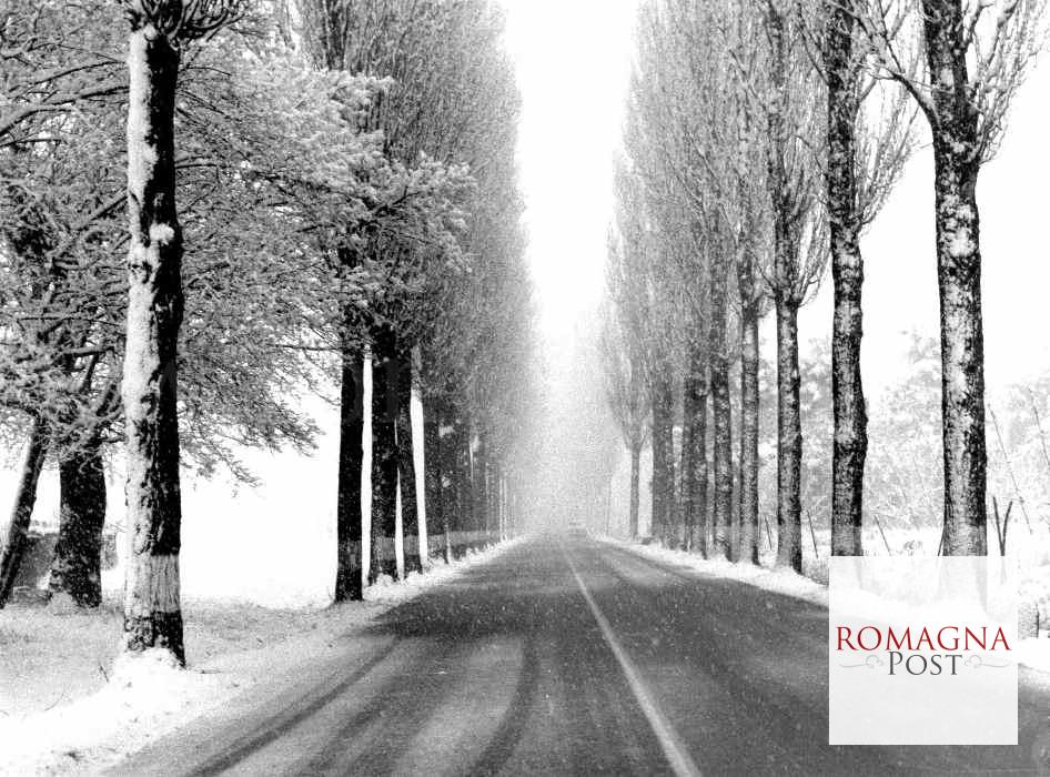 1000003456-1.jpg?v=1768507155