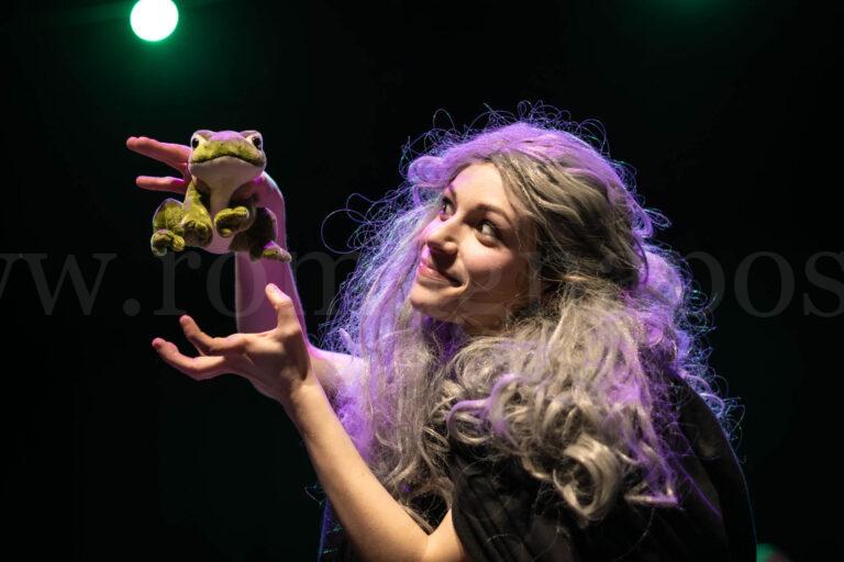 Il Principe Ranocchio