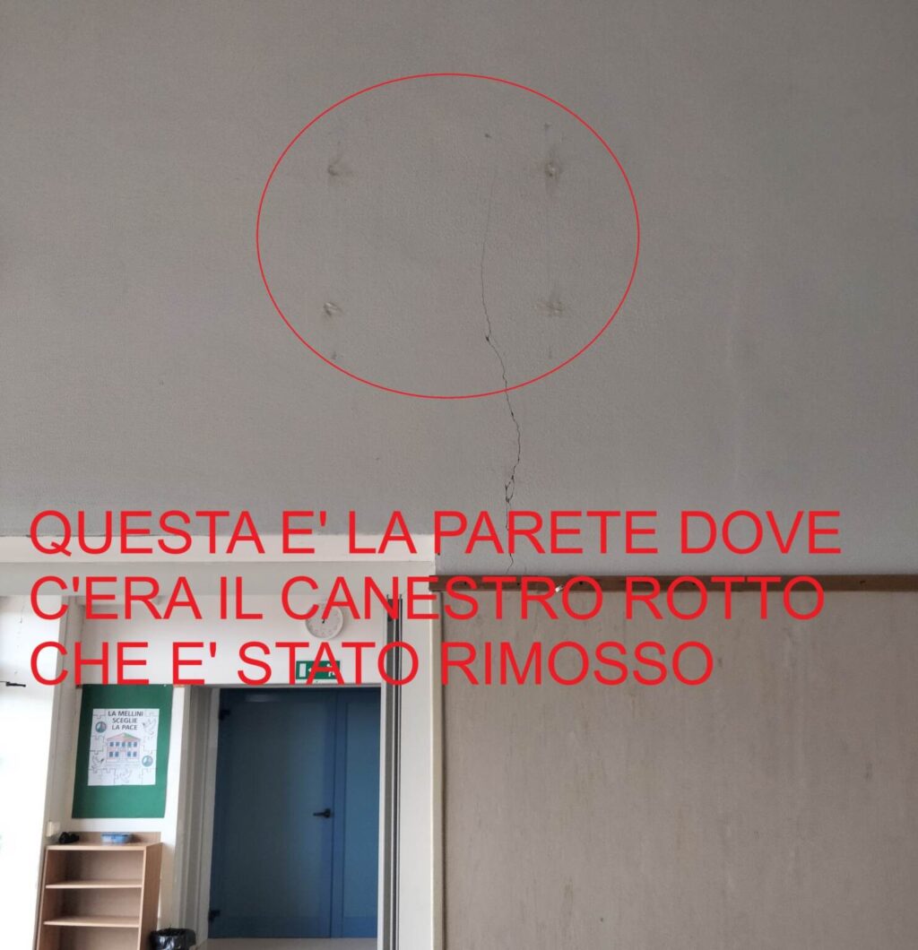 CANESTRO SCRITTA per Romagna