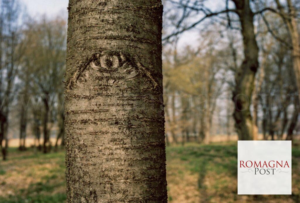 ph_nicola_baldazzi_2