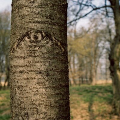 ph_nicola_baldazzi_2