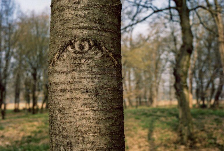 ph_nicola_baldazzi_2