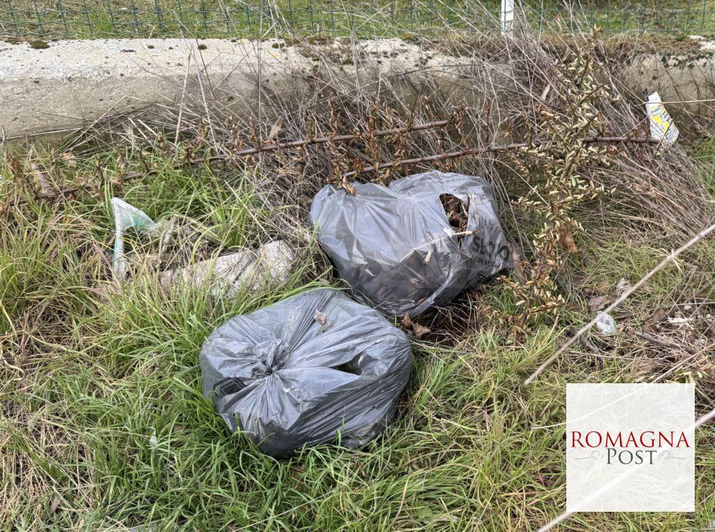 rifiuti_abbandonati(large)