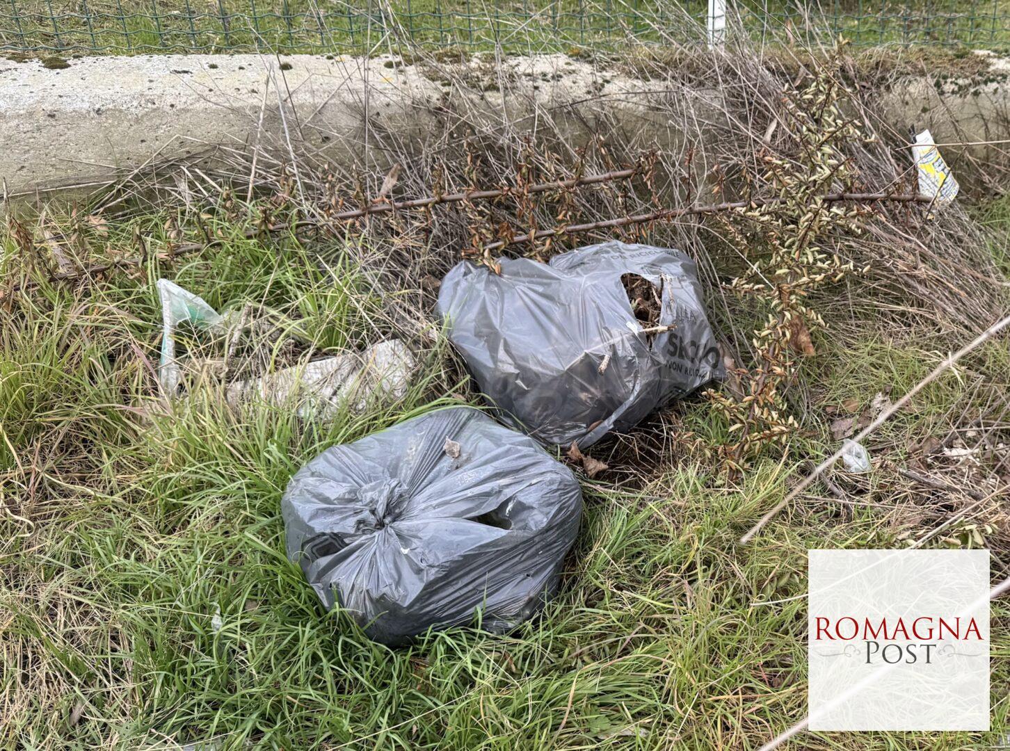 rifiuti_abbandonati(large)