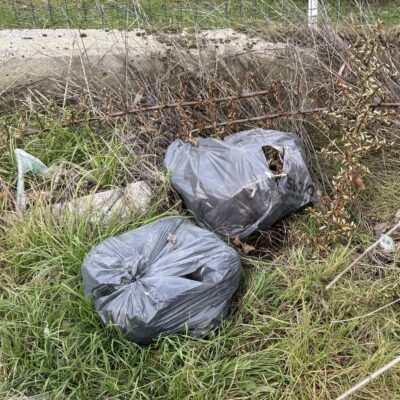 rifiuti_abbandonati(large)