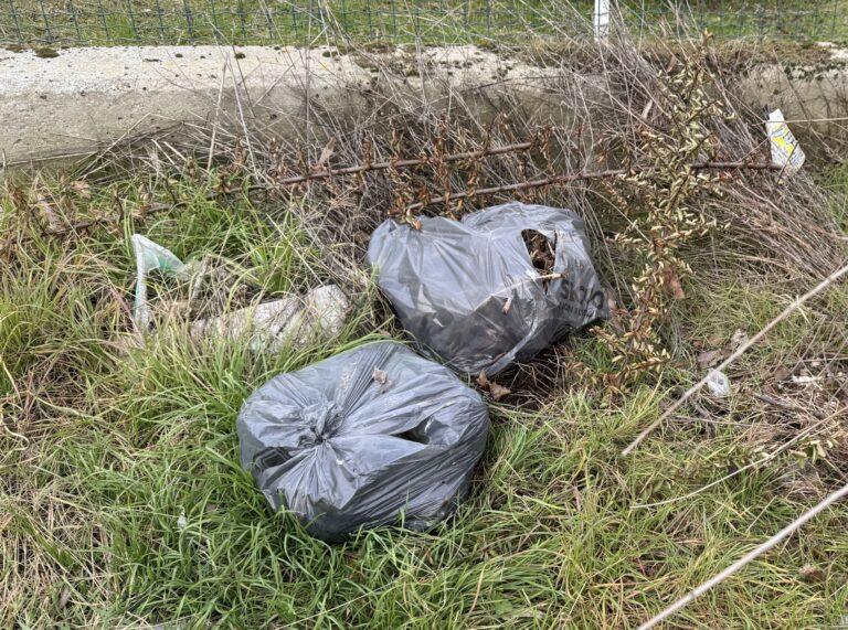 rifiuti_abbandonati(large)