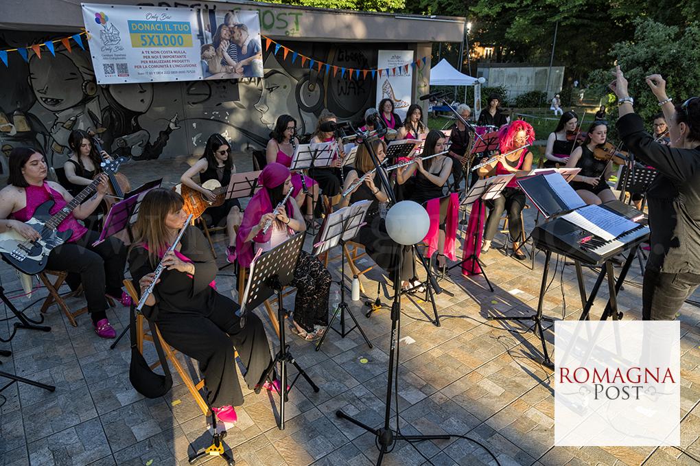 FOTO DERVIS - PINK ORCHESTRA - BR 03